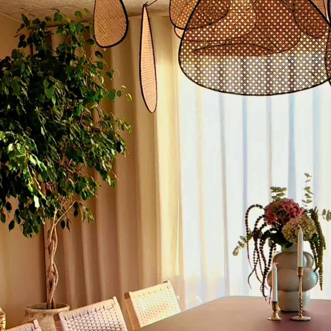 Gardinbus.com på besøg hos Freja og Vino fra Nybyggerne